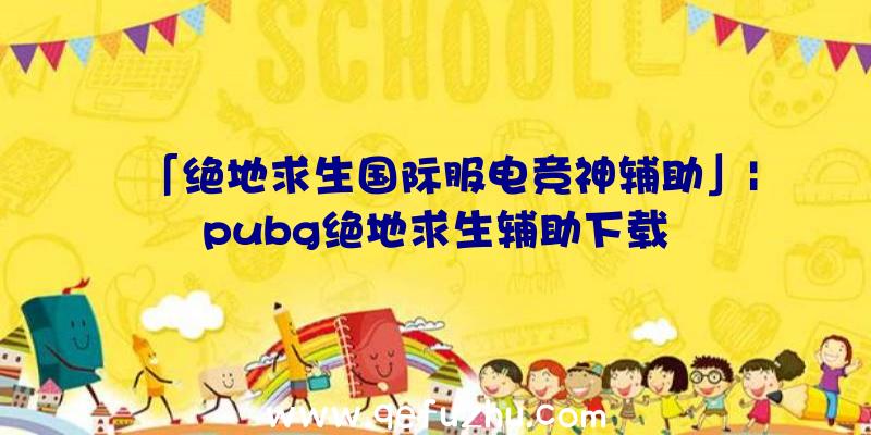 「绝地求生国际服电竞神辅助」|pubg绝地求生辅助下载
